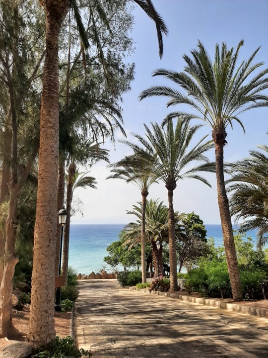Ausblick R2 Rio Calma Hotel & Spa & Conference