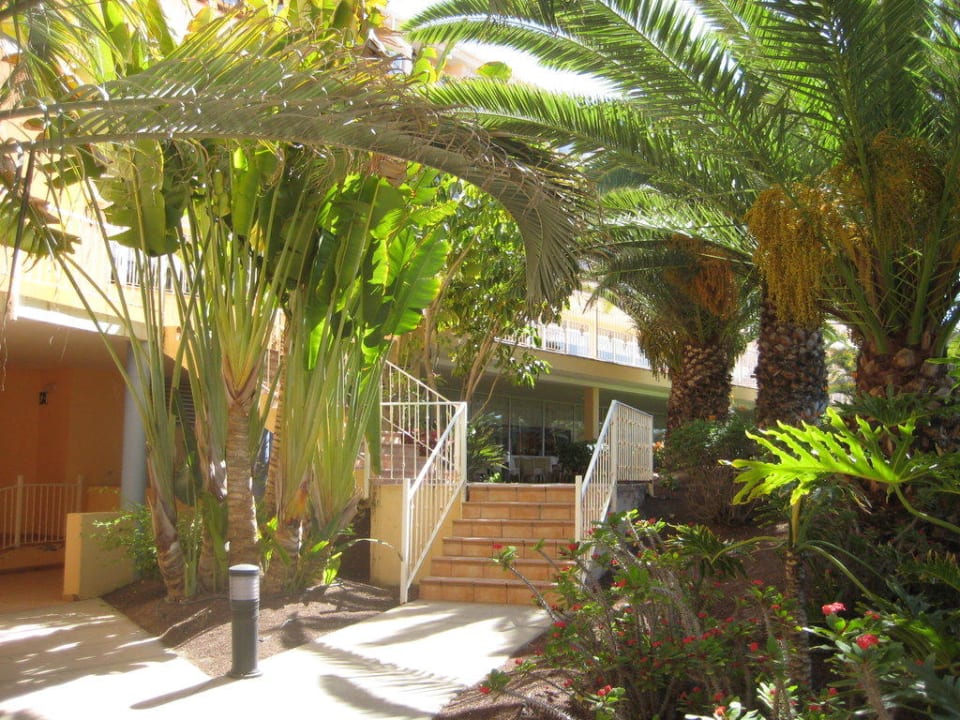 Gartenanlage Club Hotel Drago Park