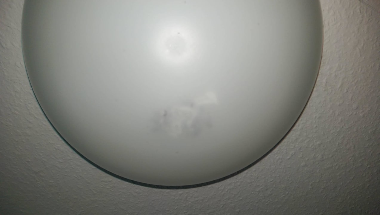 Fliegenfriedhof in der Lampe Landhotel Heidepark