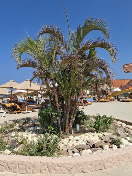 Gartenanlage Three Corners Happy Life Beach Resort