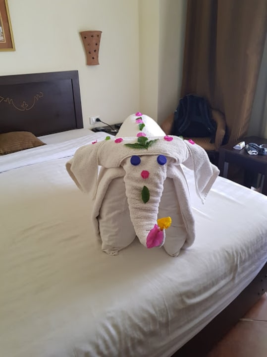 Zimmer Three Corners Sea Beach Resort