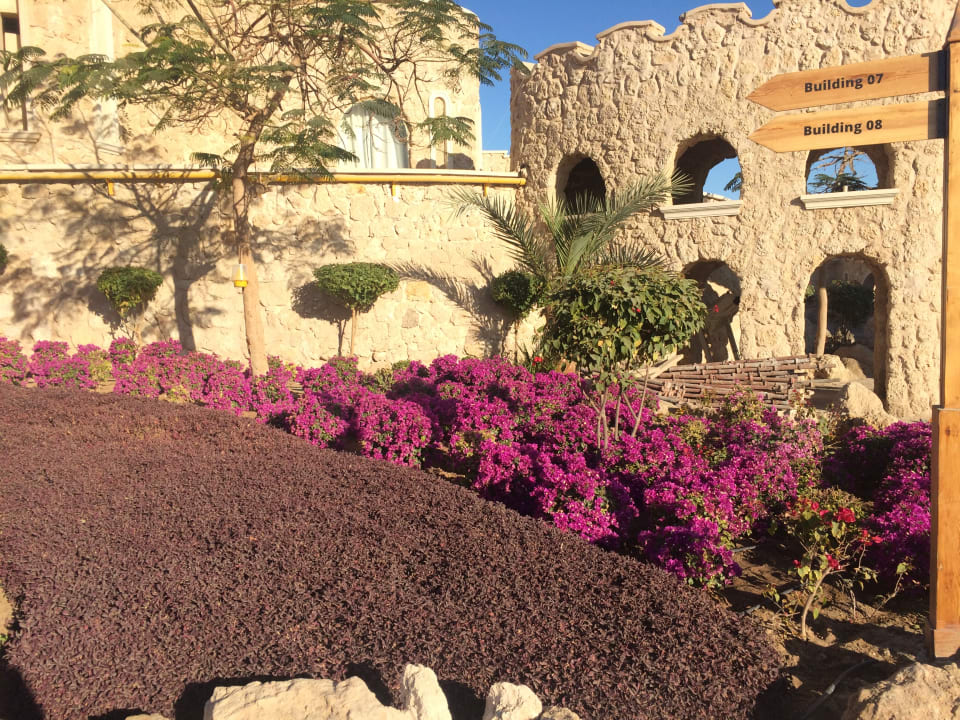 Außenansicht Pickalbatros Citadel Resort