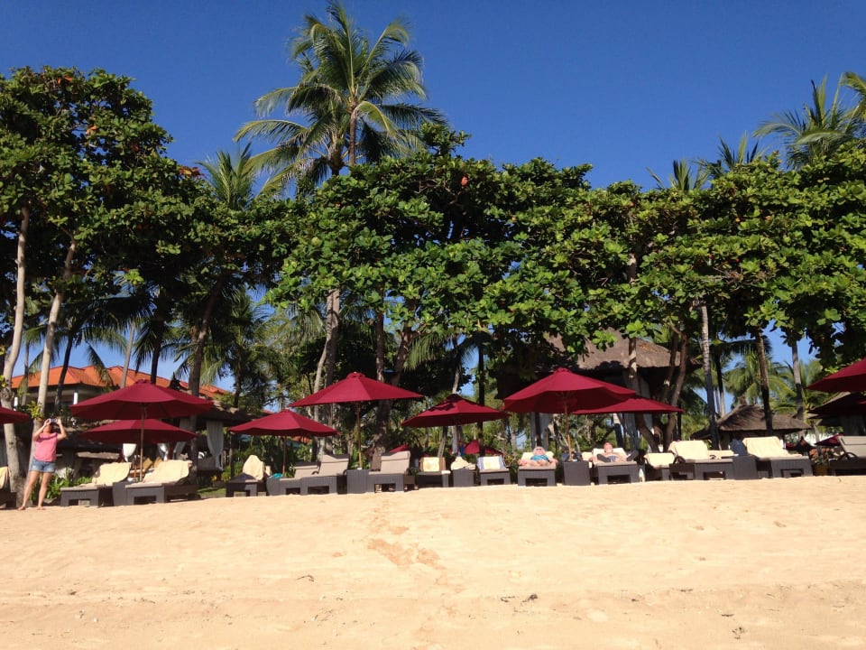 Strandliegen vor Hotel The Laguna A Luxury Collection Resort & Spa