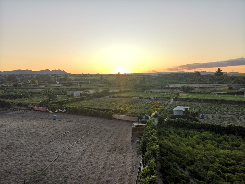 Ausblick Sunrise Attitude - Adults Only