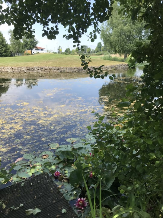 Ausblick Best Western Premier Castanea Resort Hotel