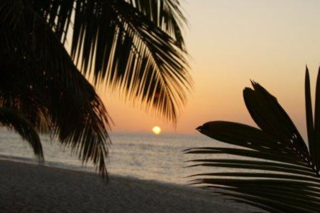 Tolle Sonnenuntergänge Filitheyo Island Resort