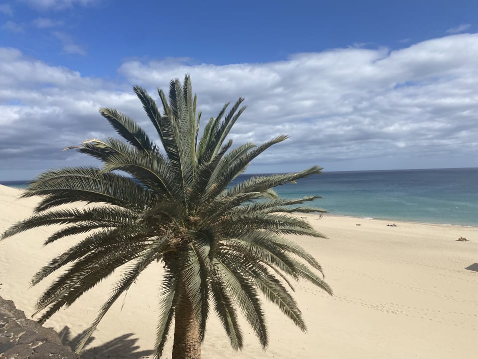 Strand Iberostar Waves Gaviotas Park