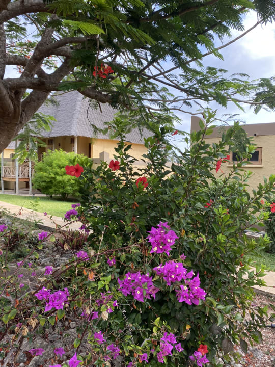 Außenansicht Neptune Pwani Beach Resort & Spa
