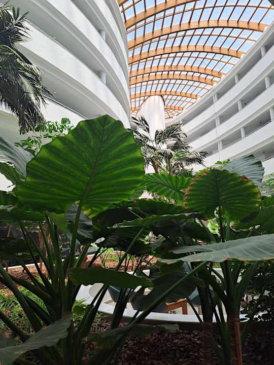Sonstiges Ramla Bay Resort