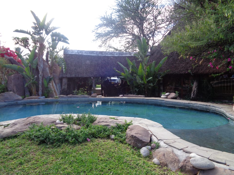Pool Kalahari Bush Breaks Lodge