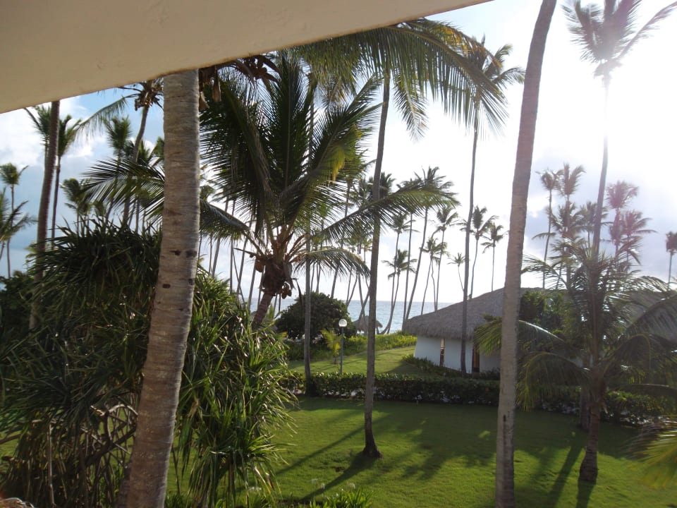 Ausblick vom Balkon! Wahnsinn Grand Palladium Select Bávaro Resort & Spa