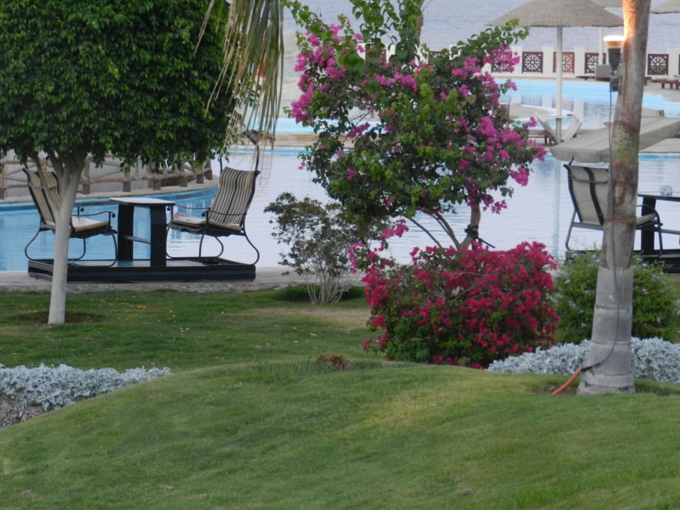 Лодочки Serenity Alpha Beach