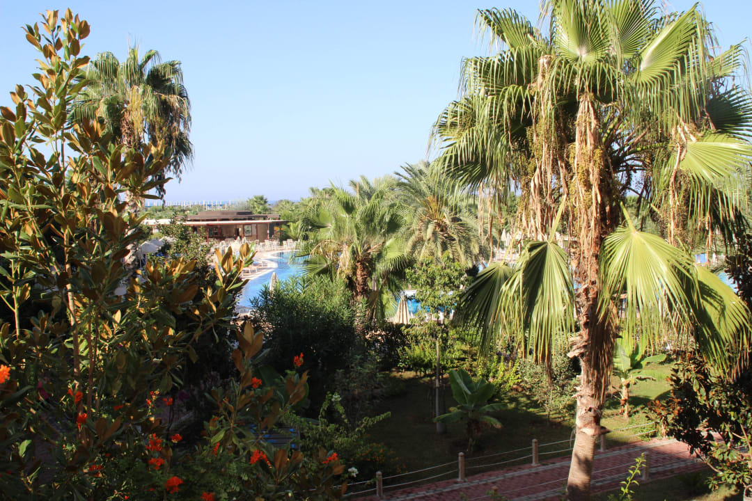 Von der Hotelterrasse Seaden Sea World Resort & Spa