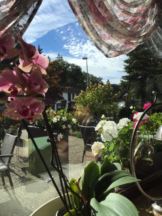 Blick in den Garten Landhotel Kunzental