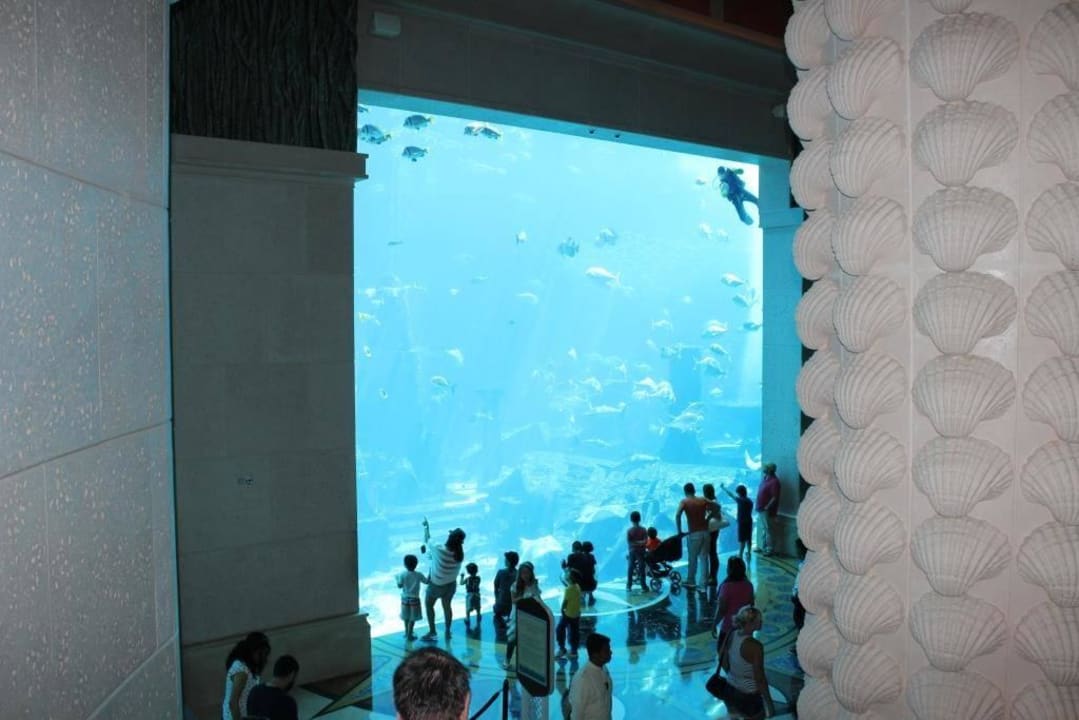 Aquarium Atlantis, The Palm