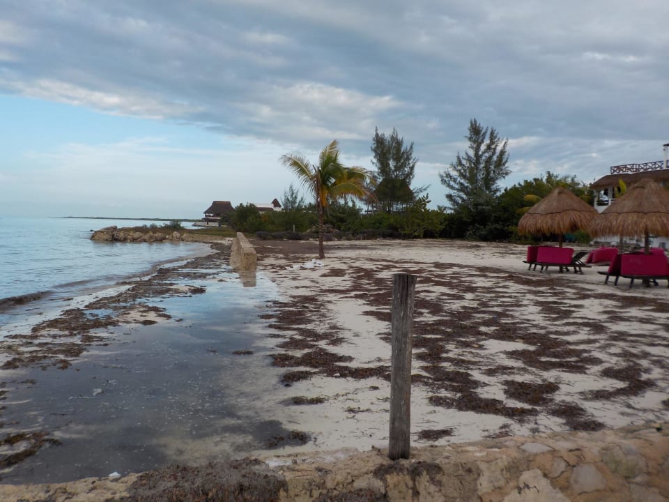 Der "traumhafte" Strand Hotel Villas Flamingos
