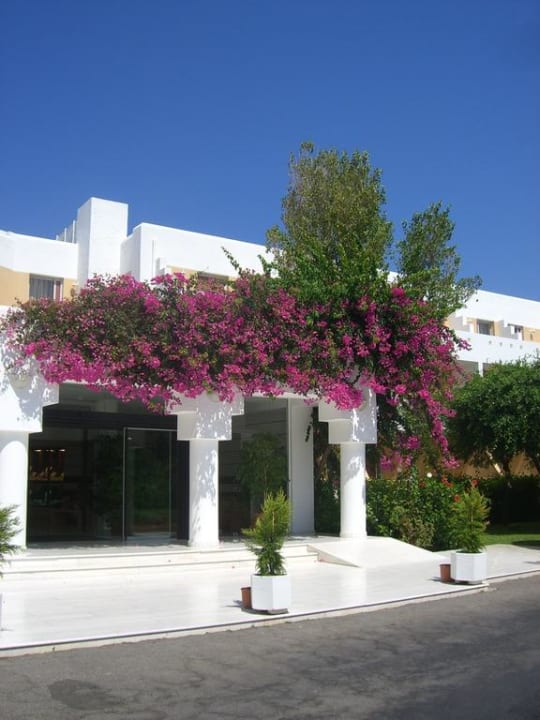 Eingangsbereich Anissa Beach & Village