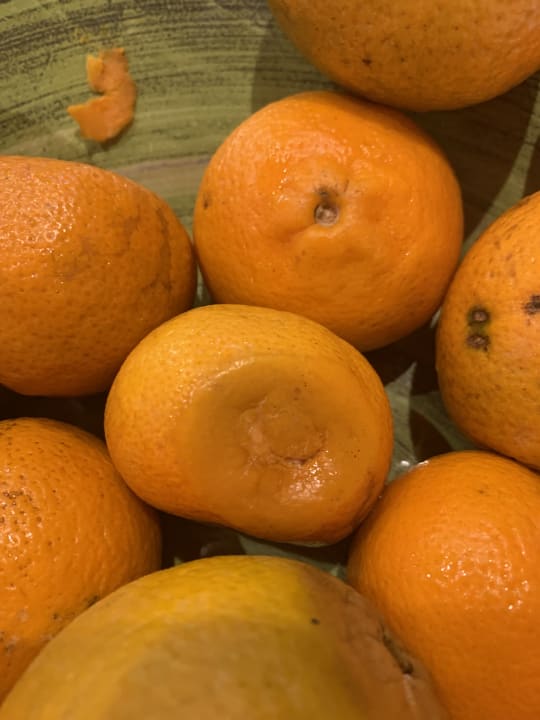 Gastro SBH Costa Calma Beach Resort