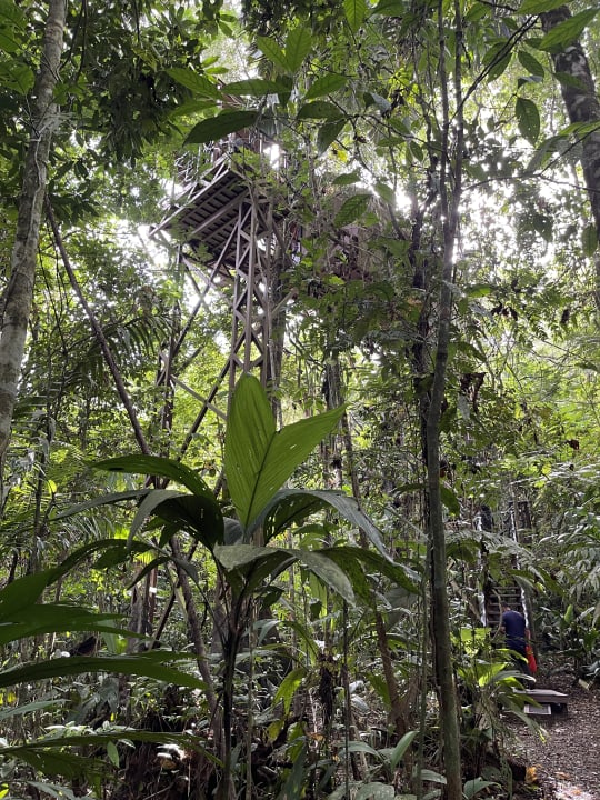 Zimmer Confort Arenal