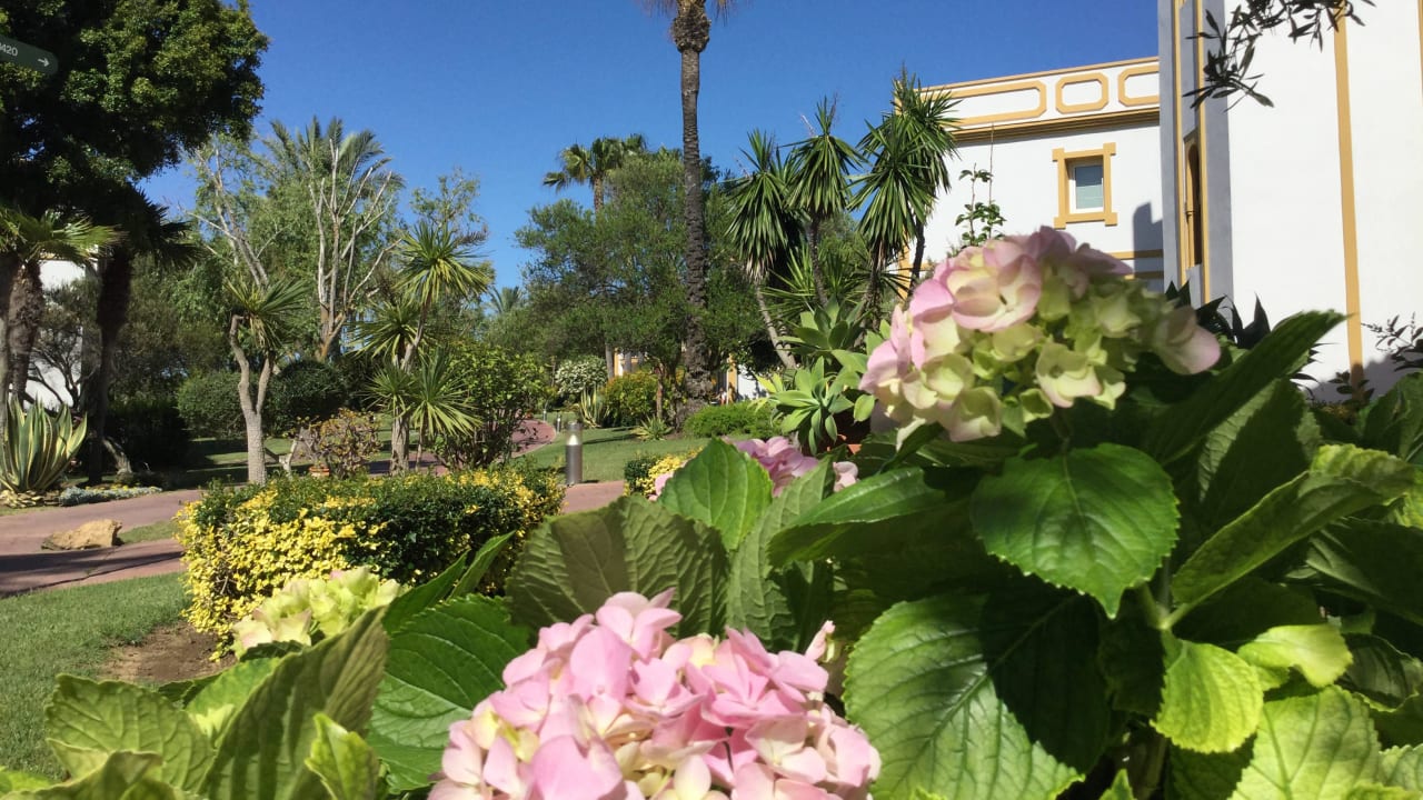 Traumhafte, gepflegte Gartenanlage Aldiana Club Andalusien