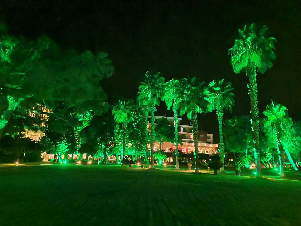 Gartenanlage TUI MAGIC LIFE Beldibi +16