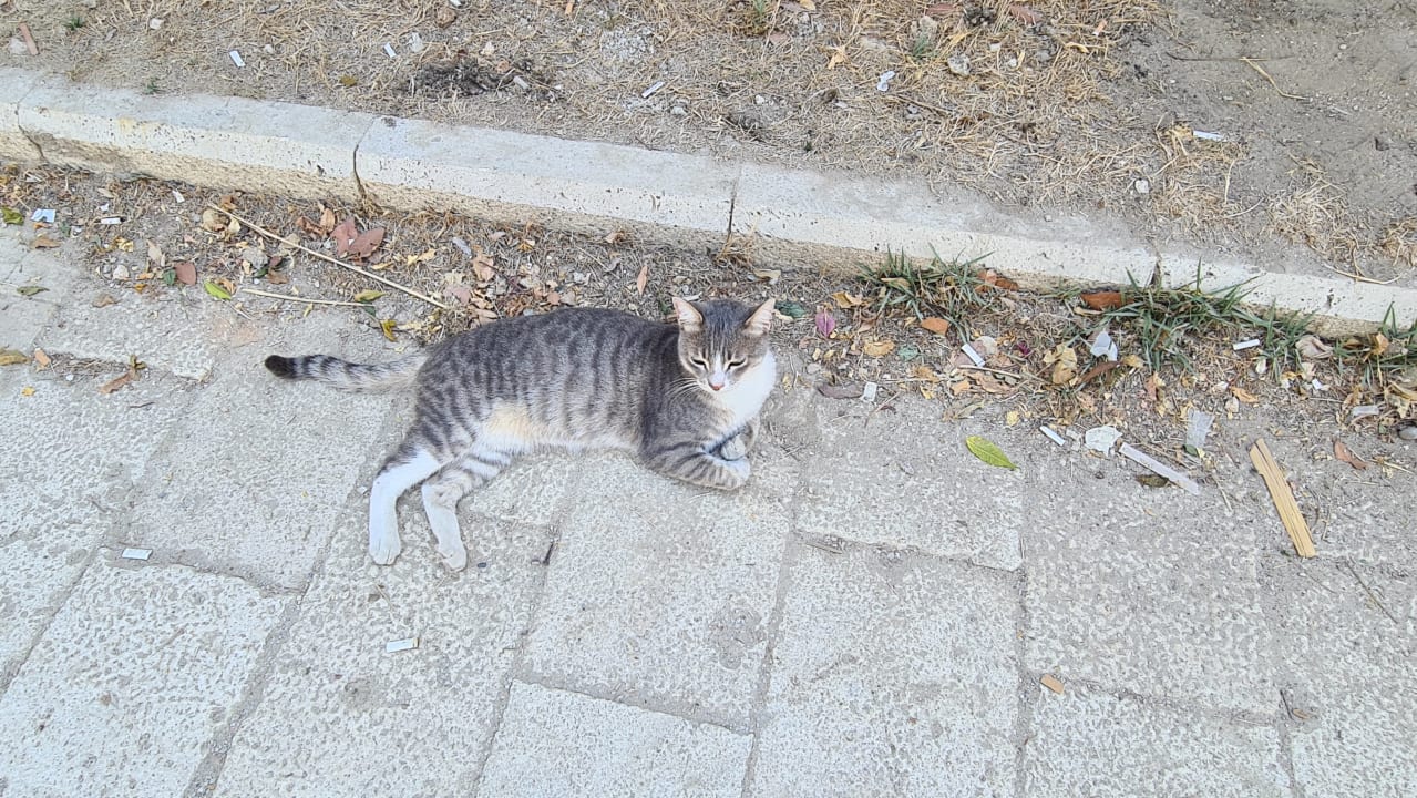 Sonstiges Özlem Garden Hotel