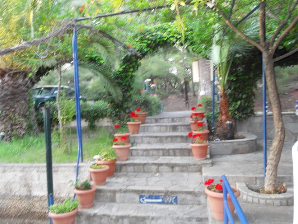 Treppe zur Taverne Haus des Gartens / Pension Nikos
