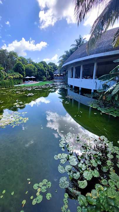 Pool Dreamland The Unique Sea & Lake Resort / Spa