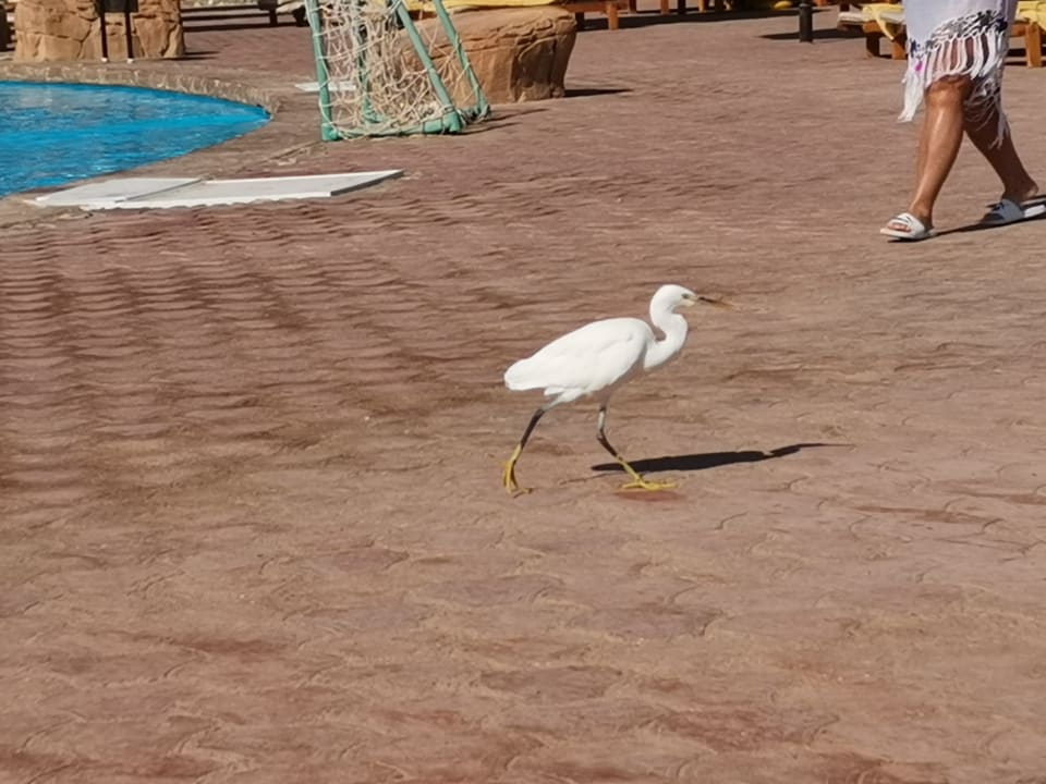 Strand Three Corners Sea Beach Resort