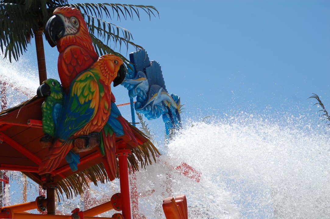 Man kommt aus dem Staunen einfach nicht raus! Grand Waterworld Makadi & Family Star Makadi