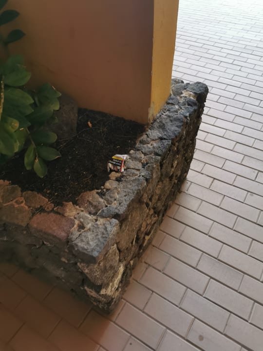 Sonstiges Occidental Jandía Royal Level - Adults only