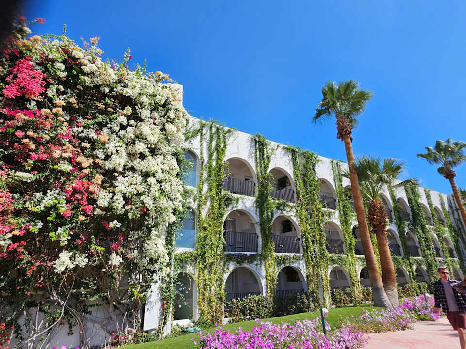 Außenansicht Desert Rose