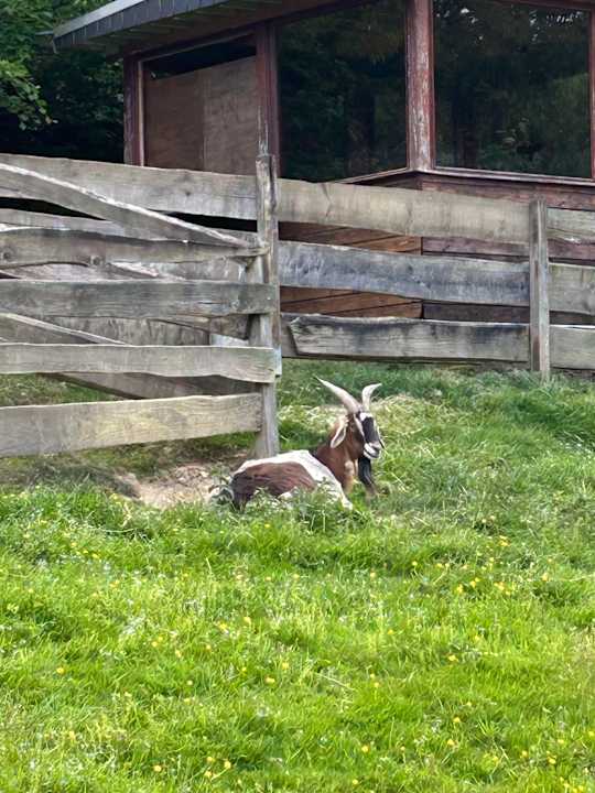 Ausblick Hotel Bergische Schweiz