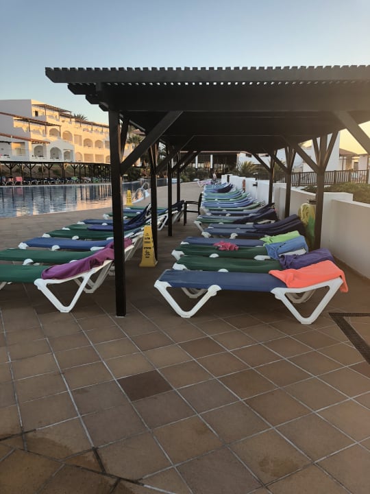 Gartenanlage TUI MAGIC LIFE Fuerteventura