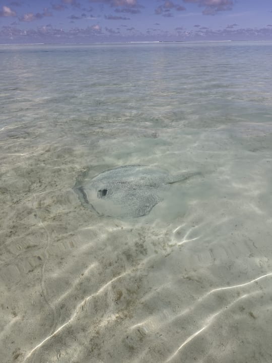Strand Hotel Riu Atoll