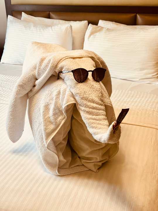 Zimmer Steigenberger Aqua Magic