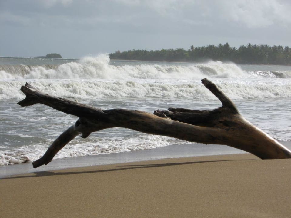 Strandspaziergang Sunscape Puerto Plata