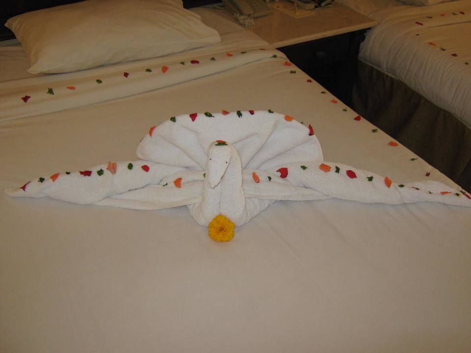 Иногда в номере птицы отдыхают Regency Plaza Aqua Park & Spa