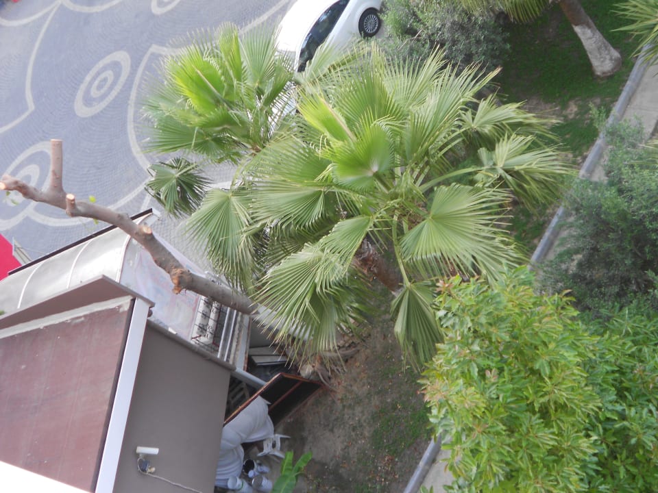 Kleiner Garten Side Alegria Hotel & Spa - Adults only +16