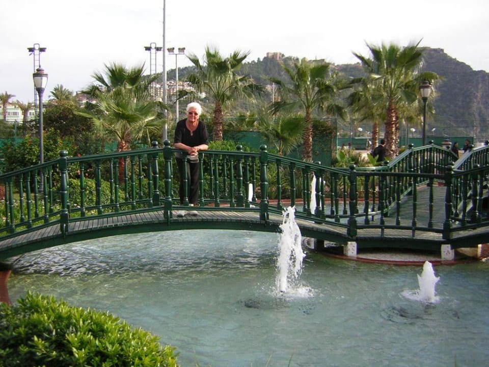 Die Brücke  Gardenia Hotel