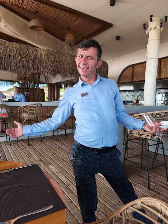 Strand Seashell Vega