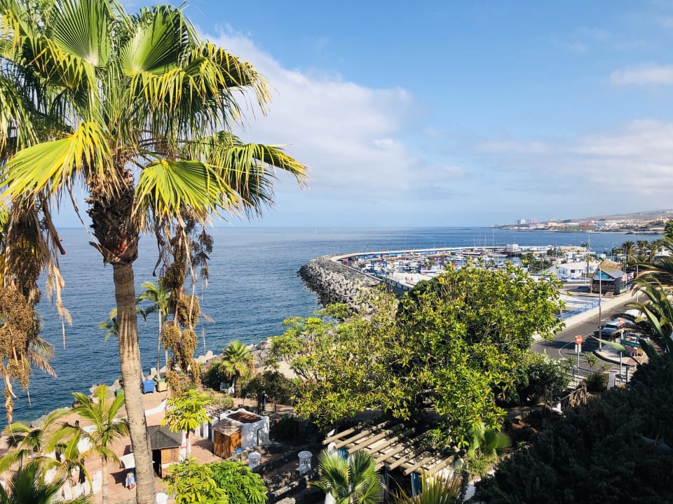 Ausblick Dreams Jardín Tropical