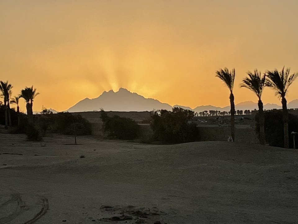 Ausblick Hotel JAZ Makadi Star & Spa