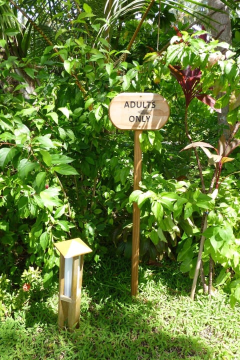 Bereich ohne Kinder Vilamendhoo Island Resort & Spa