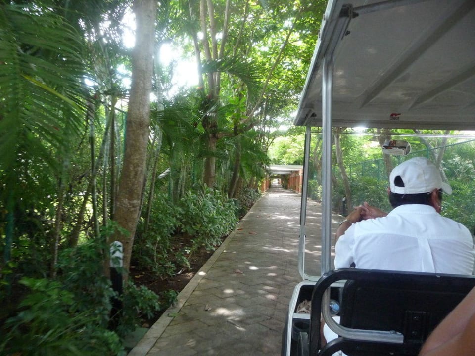 Weg zum Strand Hotel Riu Tequila