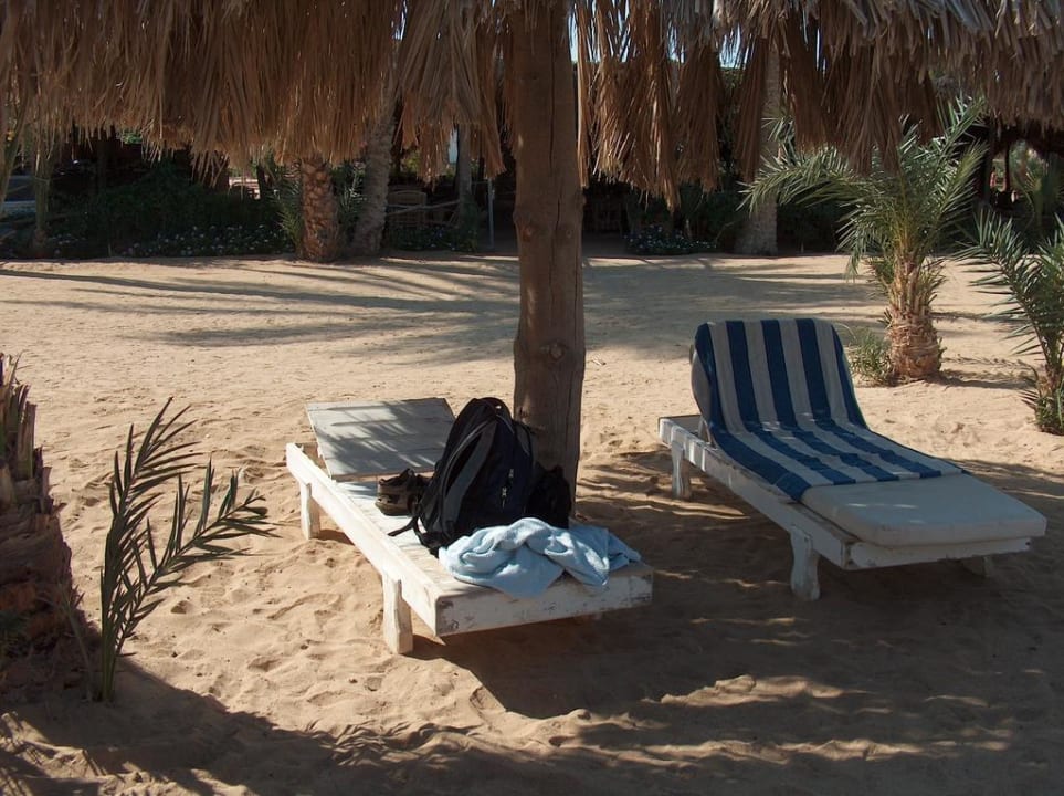 Ruhezone Utopia Beach Club