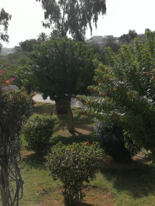 Gartenanlage El Mouradi Club Kantaoui
