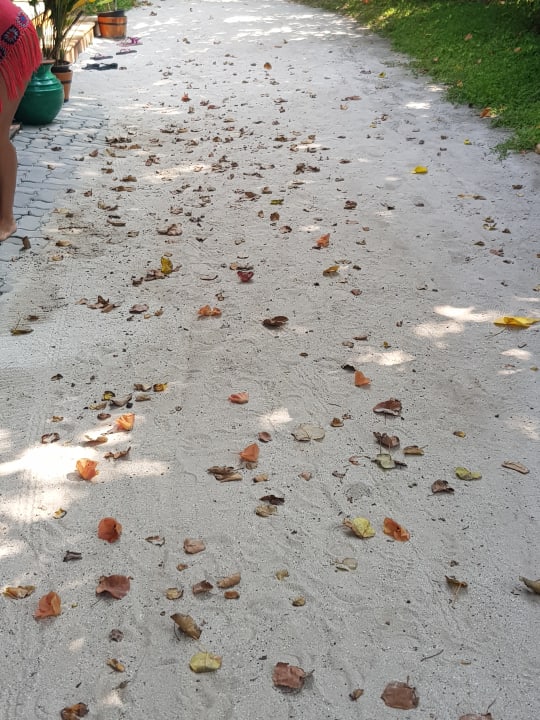 Gartenanlage Veligandu Maldives Resort Island