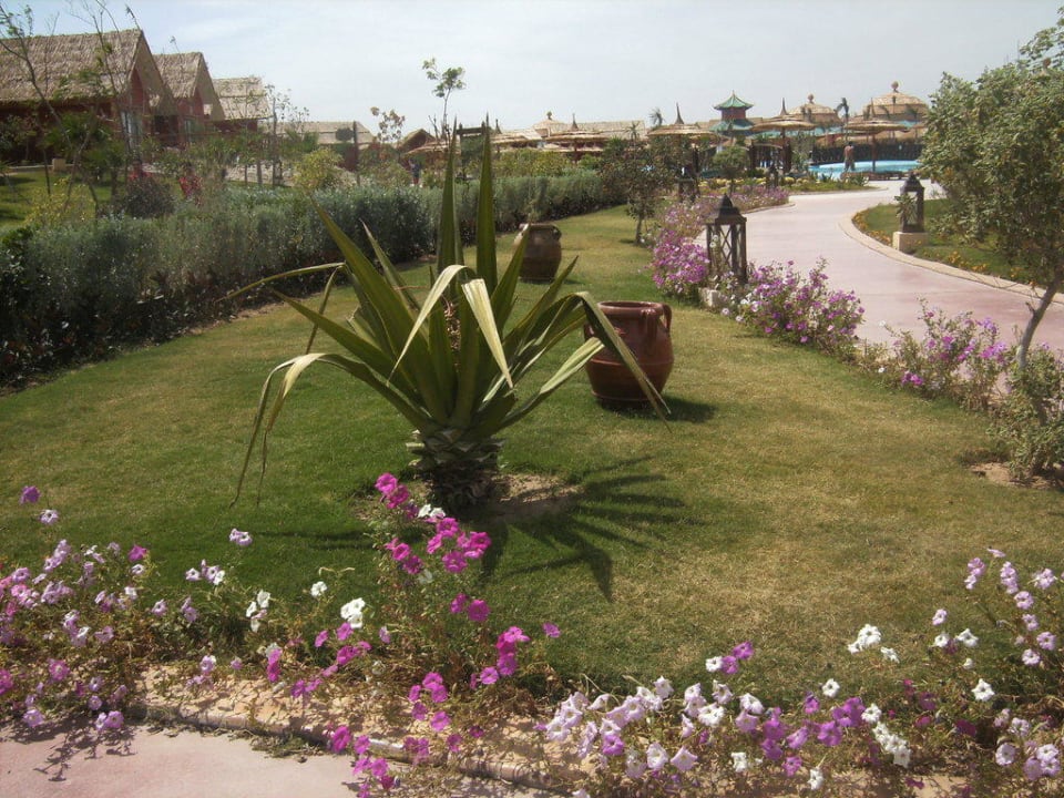 Jetzt schon üppige Gartenanlage Pickalbatros Jungle Aqua Park Resort - Neverland Hurghada