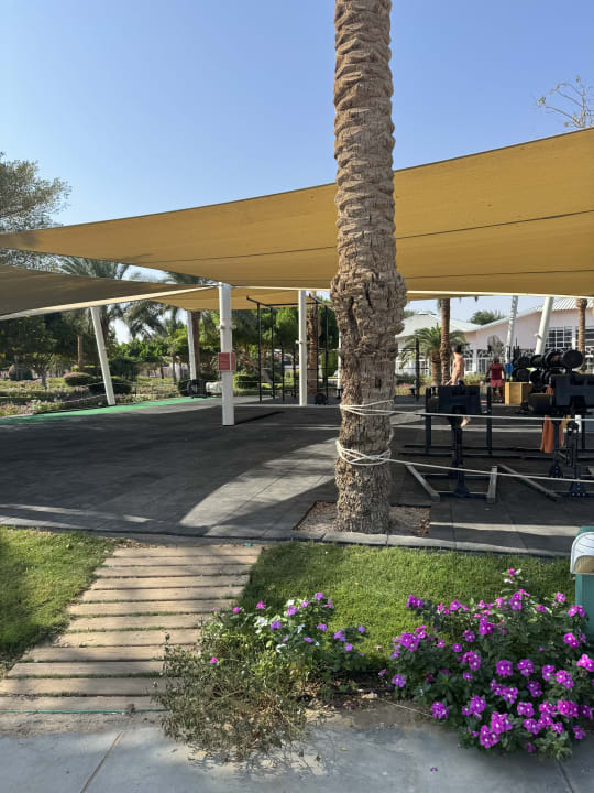 Außenansicht Desert Rose